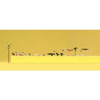 Tauben, Möwen, Krähen und Raubvögel