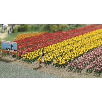 Tulpen, 120 Pflanzen, Bausatz