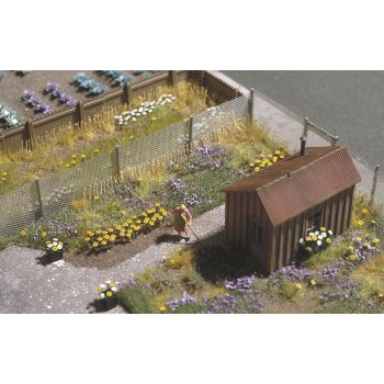 Margeriten, 120 Pflanzen, Bausatz