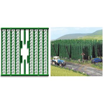 Hopfen (Hopfenplanzen), ca. 60 mm hoch