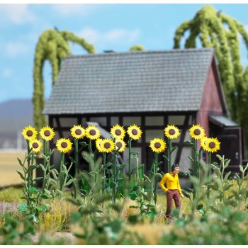Riesen-Sonnenblumen, Bausatz