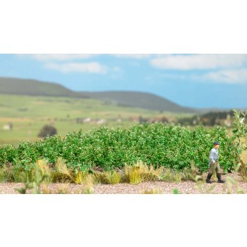 Kartoffelpflanzen (Bausatz)