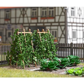 Stangenbohnen (18 Bohnenranken mit 3 Rankgestellen, Bausatz