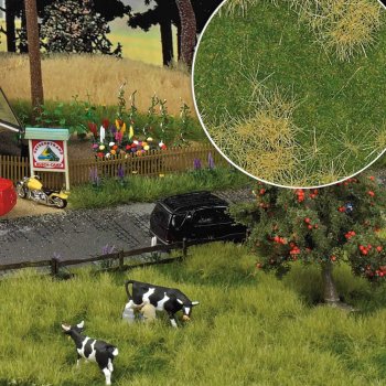 Frühlingsaue, 2-farbig