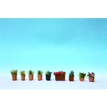 Blumen in Blumentöpfen