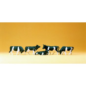 Kühe (5 Stück)