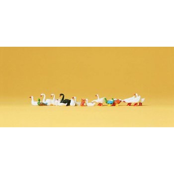 Enten, Gänse und Schwan