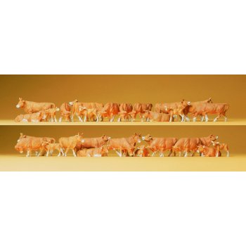 Kühe (30 Tiere), braun