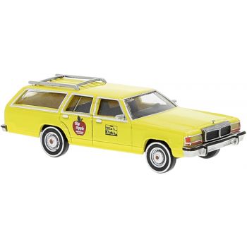 Ford LTD Station Wagon, Taxi New York, gelb, U.S.A.