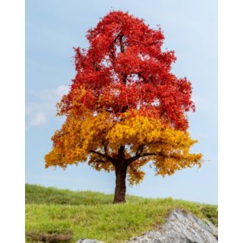 Eiche, herbstlich, 20 cm hoch