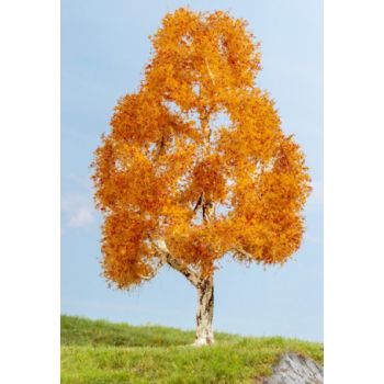 Birke, herbstlich, 21 cm hoch
