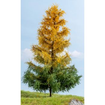 Lärche, herbstlich, 19 cm hoch