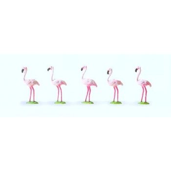 Flamingos