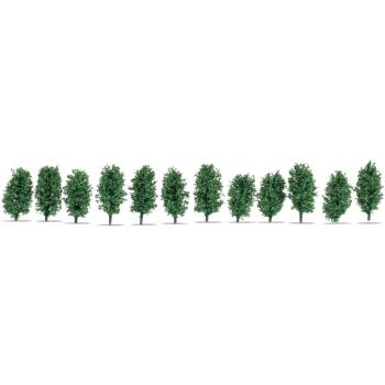 Thuja-Hecke, ca. 3 cm hoch,