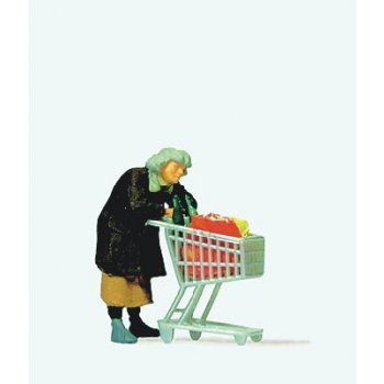 Obdachlose mit Einkaufswagen