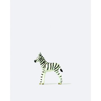 Junges Zebra