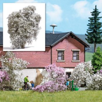 Filigranbusch, weiß blühend, ca 15 cm hoch