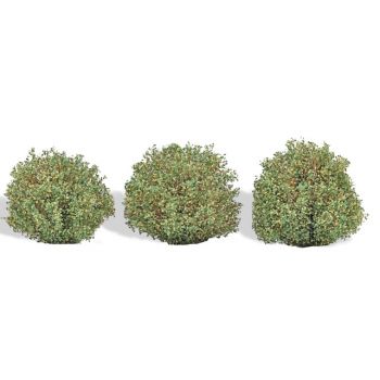 3 Büsche Spätsommer, 40 mm hoch