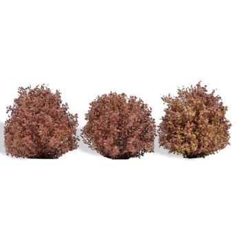 3 Büsche Herbst, 40 mm hoch