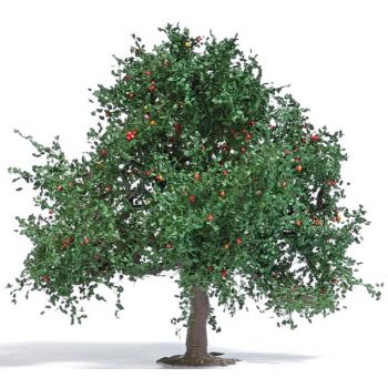 Apfelbaum, Sommer, 75 mm hoch