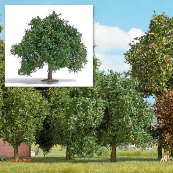 Kleine Eiche - Spätsommer, 9,5 cm hoch