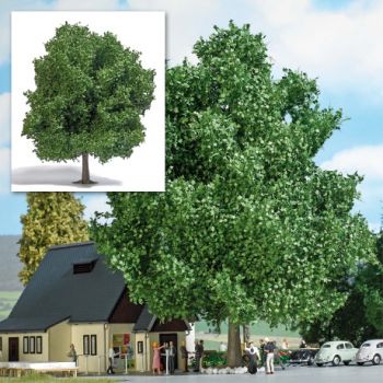 Kastanie, 22 cm hoch