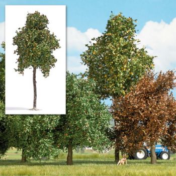 Platane - Spätsommer, 17 cm hoch