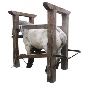 Beschlagstand, Pferd und Hufschmied