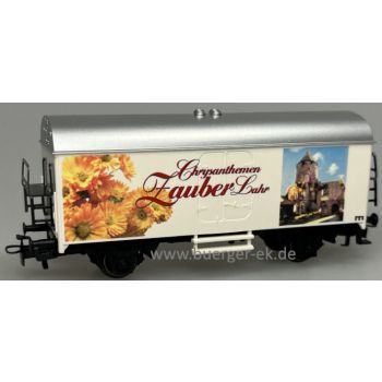 Chrysanthemen Zauber Lahr