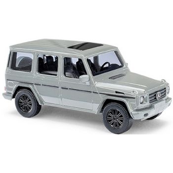Mercedes-Benz G-Klasse mit Glasdach, grau, Baujahr 2004