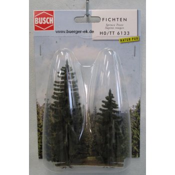 2 Fichten 9 und 12 cm hoch