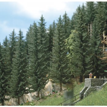 2 Fichten 17 und 19,5 cm hoch