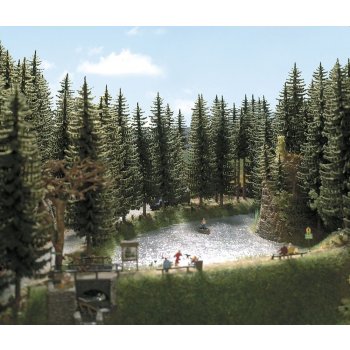 2 Fichten, 16/17,5 cm