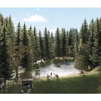 2 Hochstammfichten 18,5 und 19,5 cm hoch