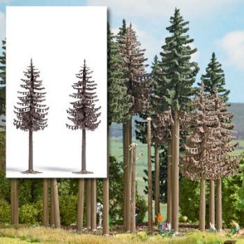 2 Tote Fichten mit vertrochneten Nadeln, jeweils 130 mm hoch