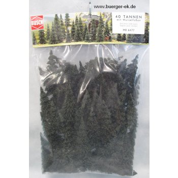 Edeltannen 40 Stück mit Wurzel, 6-13,5 cm