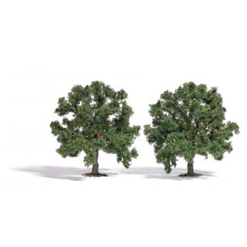 2 Kastanienbäume, Höhe 9,5 cm