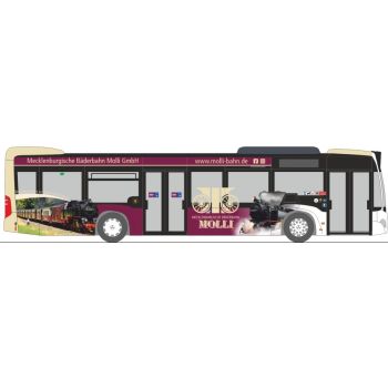Mercedes-Benz Citaro 12, Mecklenburgische Bäderbahn Molli GmbH, Kühlungsborn - Mecklenburg-Vorpommern