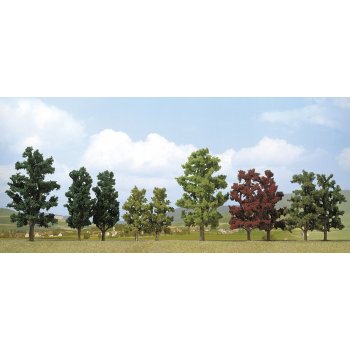 Buchen ca. 11,5 cm hoch, 2 Stück