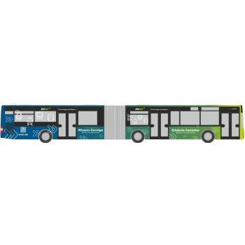 MAN Lions City G 15, Gelenkomnibus, Regionalbus Oberlausitz GmbH - ZVON - Verkerhsverbung Oberlausitz-Niederschlesien, Bautzen, Sachsen