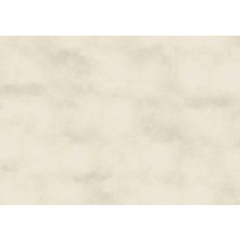 Fassadenputz, Dekorplatte 21 x 14,8 cm, 2 Stück