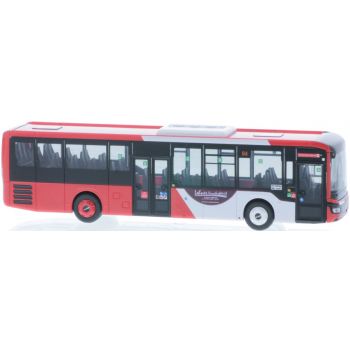 MAN Lion's Intercity LE, Lehner Omnibusbetrieb GmbH & Co.KG, Schleiden - Gemünd, Nordrhein-Westfalen