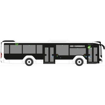 MAN Lions City 12 18, Omnibus Regionalverkehr Erzgebirge, Aue - Sachsen