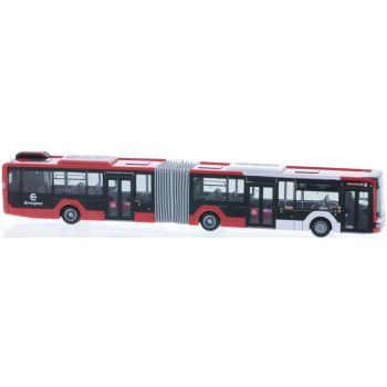 MAN Lion's City 18 18, Eifelgold Reisen, Simmerath, Nordrhein-Westfalen