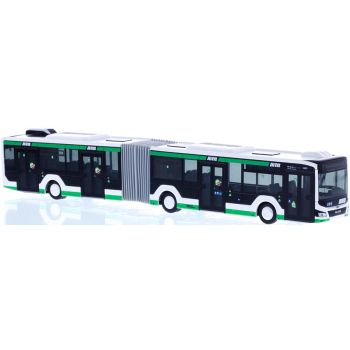 MAN Lions City 18 18, MVB Magdeburger Verkehrsbetriebe GmbH & Co. KG, Magdeburg  - Sachsen-Anhalt