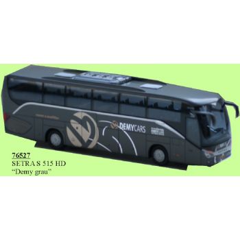 Setra S515 HD, Omnibus, Demy Cars, grau, Luxemburg