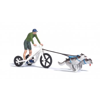 Zugwagen mit Huskies, Dog Trike als Traingswagen, mit 2 Huskies