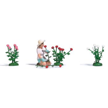 Rosenpflückerin, sitzende Frau mit Strohhut, die eine frisch gepflückte Rose in ihren Händen hält. Mit Rosenbüschen in verschiedenen Farben