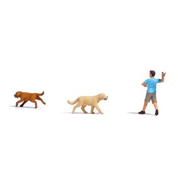 Apportierspiel mit Hunden, Szene einer Apportierübung mit 2 Hunden (einger gehend, einer rennend) sowie Hundehalter, der ein Apportierholz wirft