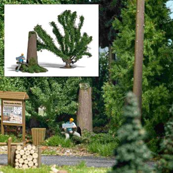 Geocacher mit Fund (Schatztruhe) aus dem geheimen Versteck (Cache) im Baumstamm, inkl. vermosstem Baumstamm